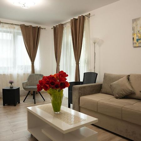 Brigitte Apartment Brasov Exterior photo
